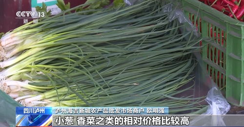 高溫炙烤下的民生守護(hù) 四川多地延期開學(xué)，全力保障農(nóng)產(chǎn)品供應(yīng)