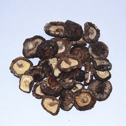 廠家直銷，正宗慶元小香菇 食用菌干貨批發(fā)新選擇